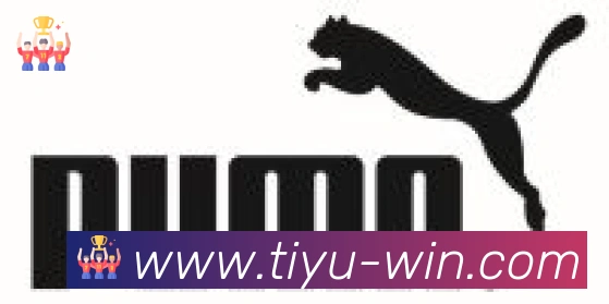 TVT体育合作伙伴